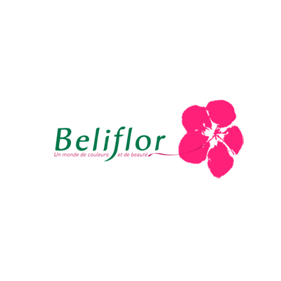 beliflor-logo